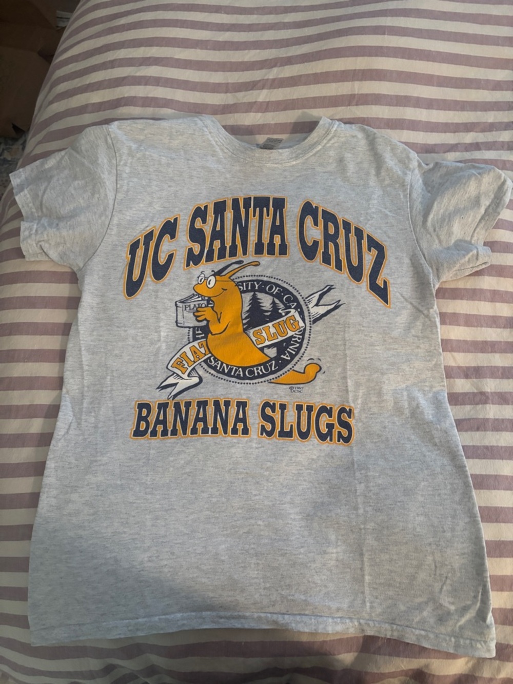 UC Santa Cruz shirt